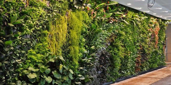 Vertical Garden Smart Garden Indonesia