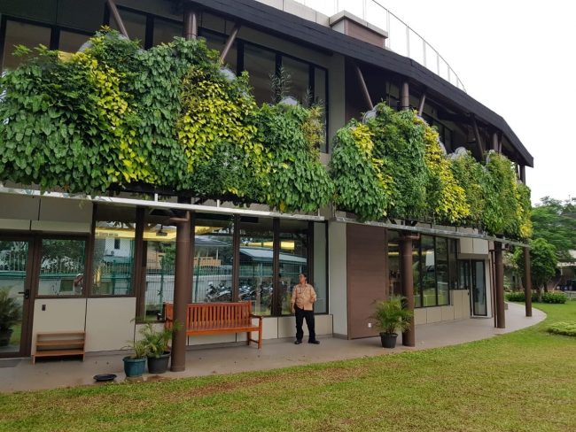 IMG-20190224-WA0011 (1) Smart Garden Indonesia