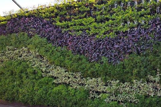 Smart Garden Indonesia